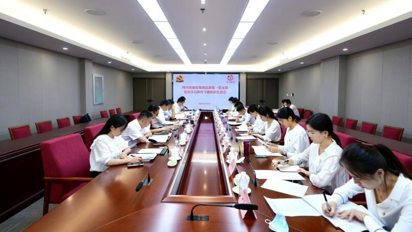 尊龙凯时集团党委书记、董事长任丁参加总部第一党支部党史学习教育专题组织生活会