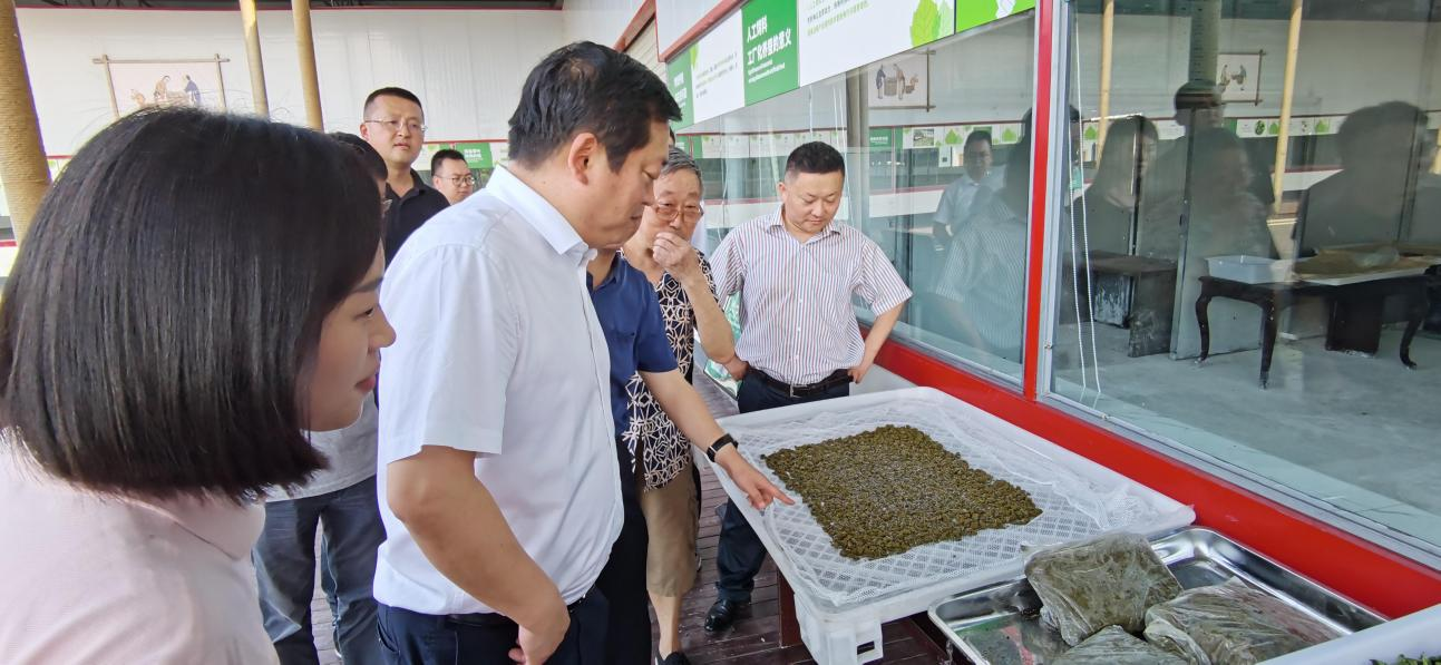 省尊龙凯时集团党委副书记、董事陈日赴嘉陵区调研茶桑产业发展情况