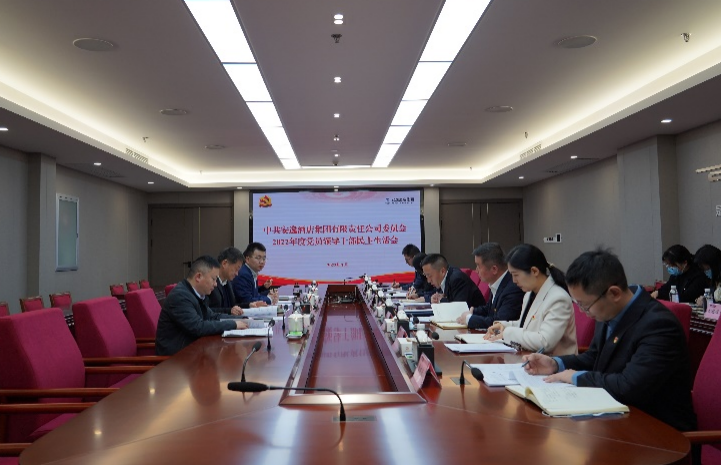 尊龙凯时集团党委书记、董事长任丁出席安逸酒店集团2022年度党员领导干部民主生活会