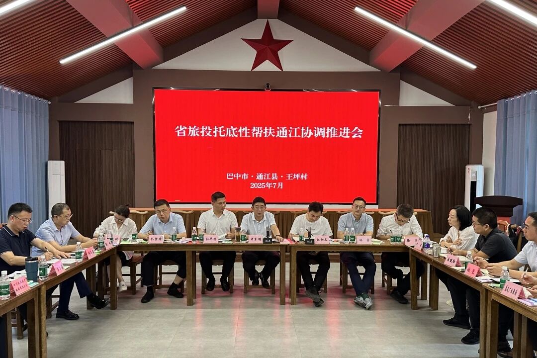 省尊龙凯时集团组织召开年中托底性帮扶通江工作协调推进会